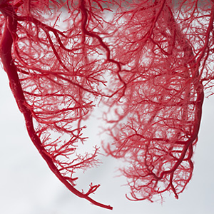Wpływ bezsenności na układ krążenia i niewydolności serca